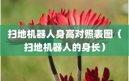 扫地机器人身高对照表图（扫地机器人的身长）
