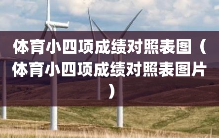 体育小四项成绩对照表图（体育小四项成绩对照表图片）