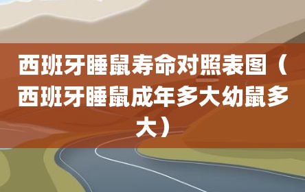 西班牙睡鼠寿命对照表图（西班牙睡鼠成年多大幼鼠多大）