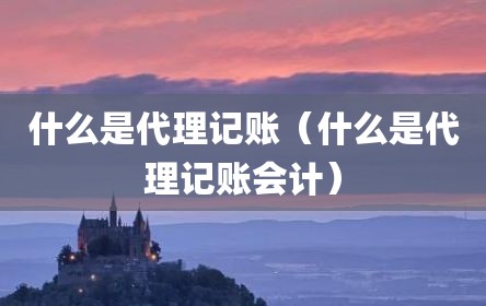什么是代理记账（什么是代理记账会计）