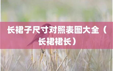 长裙子尺寸对照表图大全（长裙裙长）