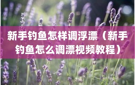 新手钓鱼怎样调浮漂（新手钓鱼怎么调漂视频教程）