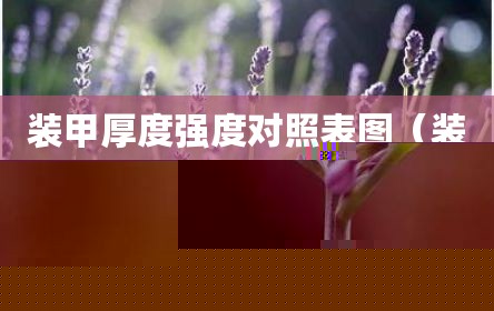 装甲厚度强度对照表图（装甲车 装甲厚度）