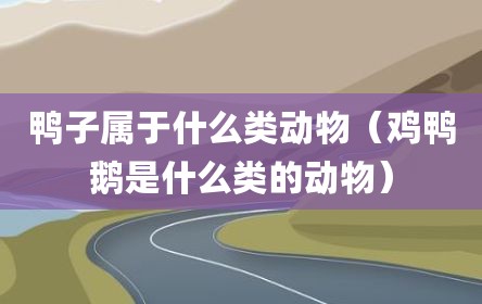 鸭子属于什么类动物（鸡鸭鹅是什么类的动物）