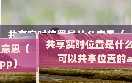 共享实时位置是什么意思（可以共享位置的app）