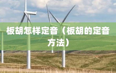 板胡怎样定音（板胡的定音方法）
