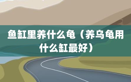 鱼缸里养什么龟（养乌龟用什么缸最好）