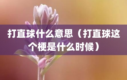 打直球什么意思（打直球这个梗是什么时候）
