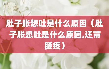 肚子胀想吐是什么原因（肚子胀想吐是什么原因,还带腰疼）