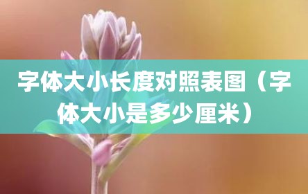 字体大小长度对照表图（字体大小是多少厘米）