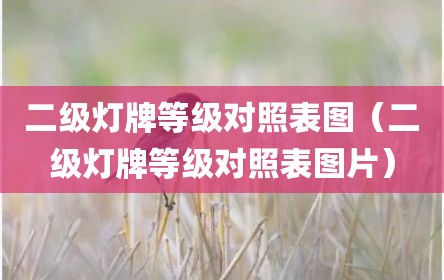 二级灯牌等级对照表图（二级灯牌等级对照表图片）