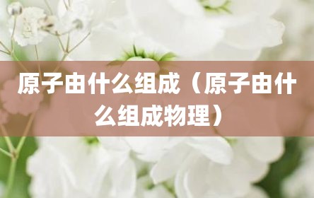 原子由什么组成（原子由什么组成物理）