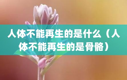 人体不能再生的是什么（人体不能再生的是骨骼）
