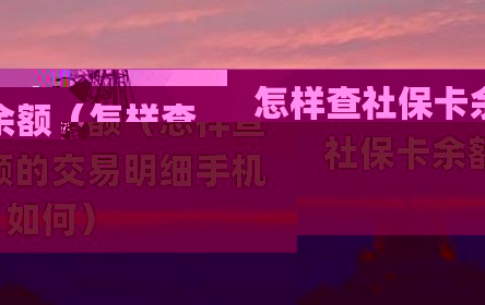 怎样查社保卡余额（怎样查社保卡余额的交易明细手机如何）