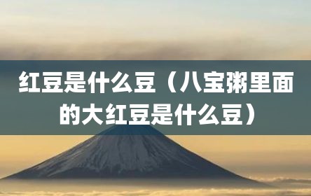 红豆是什么豆（八宝粥里面的大红豆是什么豆）