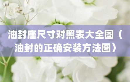 油封座尺寸对照表大全图（油封的正确安装方法图）