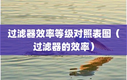 过滤器效率等级对照表图（过滤器的效率）