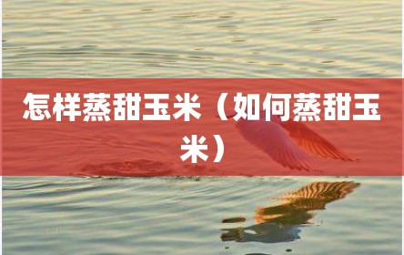 怎样蒸甜玉米（如何蒸甜玉米）