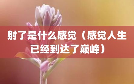 射了是什么感觉（感觉人生已经到达了巅峰）