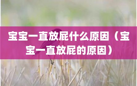 宝宝一直放屁什么原因（宝宝一直放屁的原因）