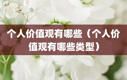 个人价值观有哪些（个人价值观有哪些类型）
