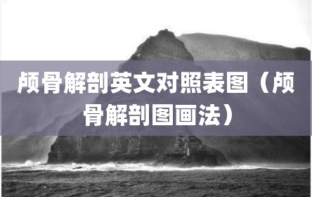 颅骨解剖英文对照表图（颅骨解剖图画法）