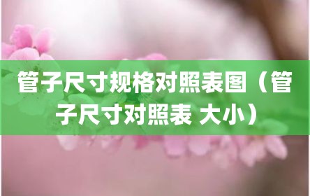 管子尺寸规格对照表图（管子尺寸对照表 大小）