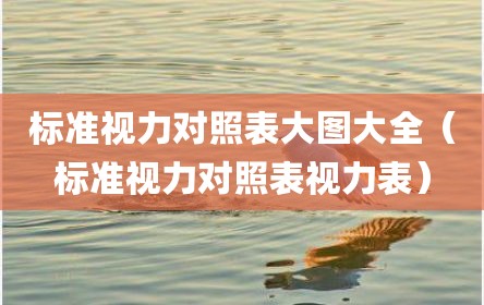 标准视力对照表大图大全（标准视力对照表视力表）