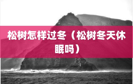 松树怎样过冬（松树冬天休眠吗）