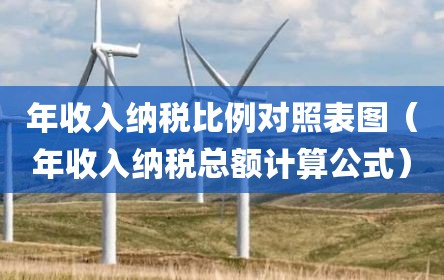年收入纳税比例对照表图（年收入纳税总额计算公式）