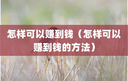 怎样可以赚到钱（怎样可以赚到钱的方法）