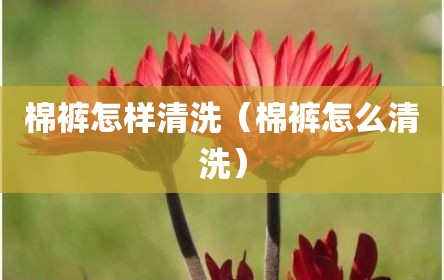 棉裤怎样清洗（棉裤怎么清洗）