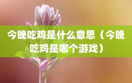 今晚吃鸡是什么意思（今晚吃鸡是哪个游戏）