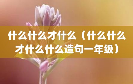 什么什么才什么（什么什么才什么什么造句一年级）