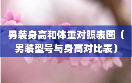 男装身高和体重对照表图（男装型号与身高对比表）