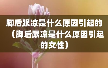 脚后跟凉是什么原因引起的（脚后跟凉是什么原因引起的女性）