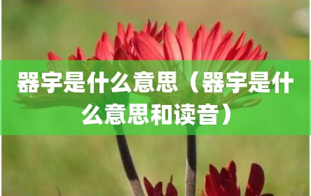器宇是什么意思（器宇是什么意思和读音）