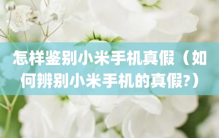 怎样鉴别小米手机真假（如何辨别小米手机的真假?）