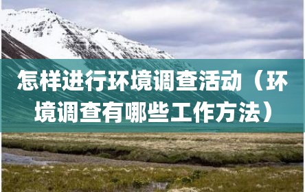 怎样进行环境调查活动（环境调查有哪些工作方法）