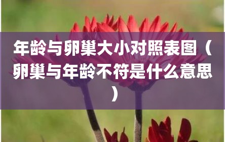 年龄与卵巢大小对照表图（卵巢与年龄不符是什么意思）