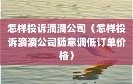 怎样投诉滴滴公司（怎样投诉滴滴公司随意调低订单价格）