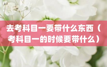 去考科目一要带什么东西（考科目一的时候要带什么）
