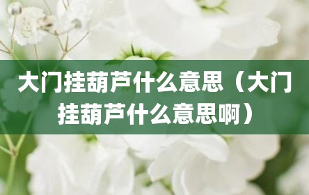 大门挂葫芦什么意思（大门挂葫芦什么意思啊）