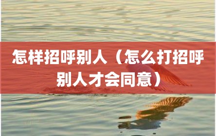 怎样招呼别人（怎么打招呼别人才会同意）
