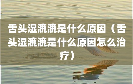 舌头湿漉漉是什么原因（舌头湿漉漉是什么原因怎么治疗）