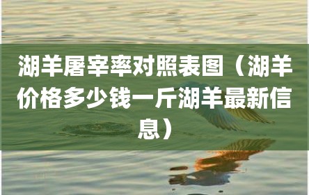 湖羊屠宰率对照表图（湖羊价格多少钱一斤湖羊最新信息）