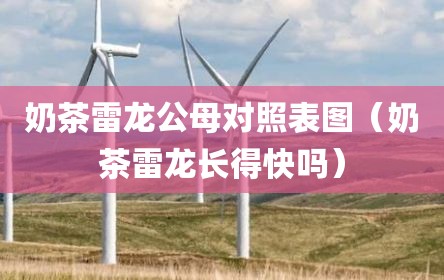 奶茶雷龙公母对照表图（奶茶雷龙长得快吗）