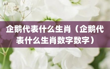 企鹅代表什么生肖（企鹅代表什么生肖数字数字）