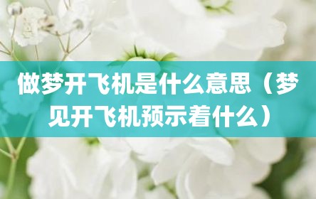 做梦开飞机是什么意思（梦见开飞机预示着什么）