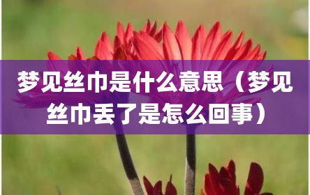 梦见丝巾是什么意思（梦见丝巾丢了是怎么回事）